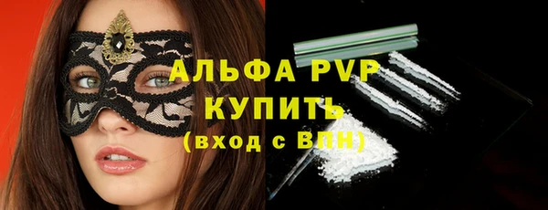 сатива Осташков