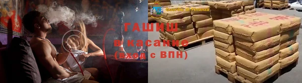 сатива Осташков
