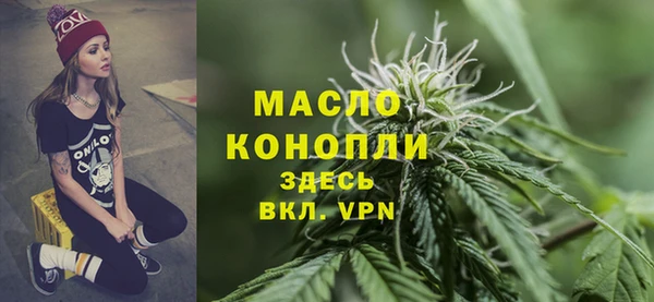 сатива Осташков