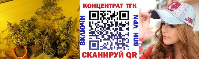 omg ТОР Полесск Дистиллят ТГК концентрат