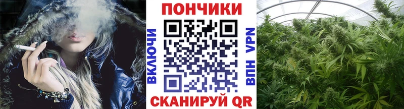Марихуана сатива  Полесск 